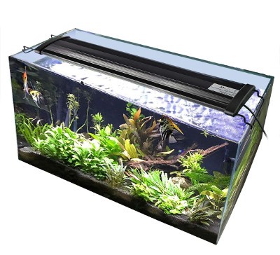 Led lights hotsell for aquarium plants